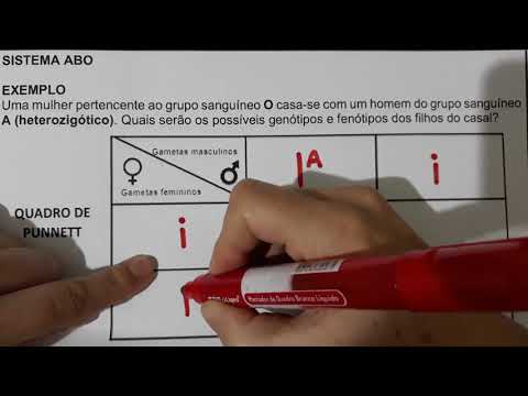 Sistema ABO-Quadro de Punnett