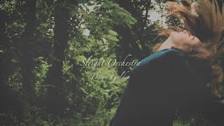 Sleight Orchestra- Dawn Golden
