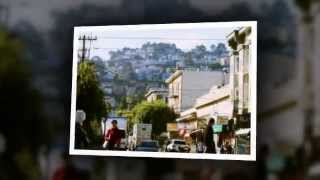 Back on the Street Again - The Sunshine Company