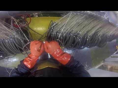 Seven minutes on a longliner