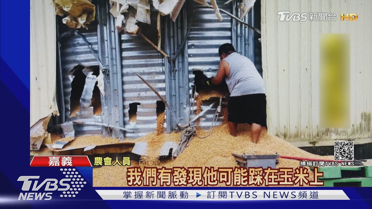 農會員工跌落穀倉「只剩臉」　遭玉米粒活埋送醫不治