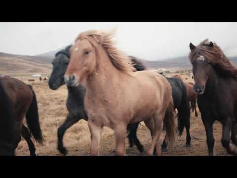 Macarthur Adventist College