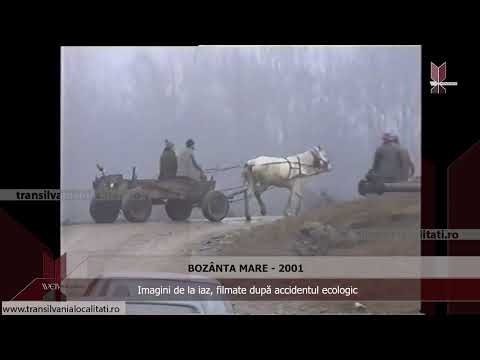 BOZÂNTA MARE-MM (2001)  - Imagini de la iaz, filmate după accidentul ecologic
