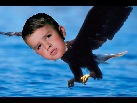 YFNA-002 (Jerry's Eagles)