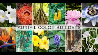 Aurifil Color Builder 3pc Set - Stinking Corpse Lily