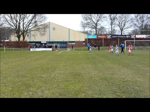 Oeverzwaluwen E2 in actie op 2 maart 2013