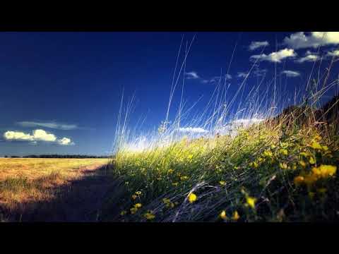 Matt Skyer -  Everglades (Original Mix) [HD]