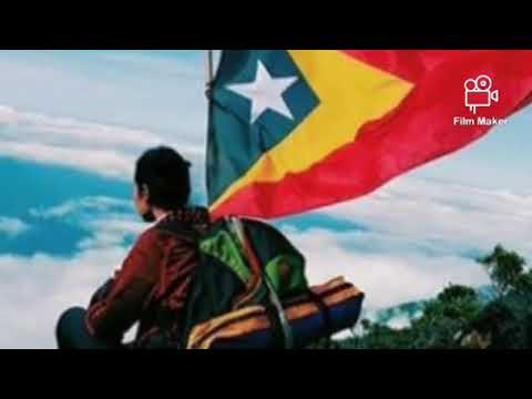 VIDIGAL PINTO  Domin Bosok Ne