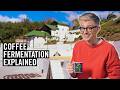 I Went To Guatemala To Explain Why All Coffee Is Fermented