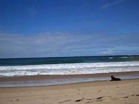 Tofo Beach - Inhambane, Mozambique