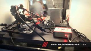 MAGICMOTORSPORT: Electronic Systems for Automotive Solutions (IT)
