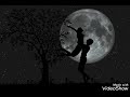 Chand Ne Kuch Kaha Raat Ne Kuch Suna Song Shahrukh Khan Film Dil To Pagal Hain Film Song