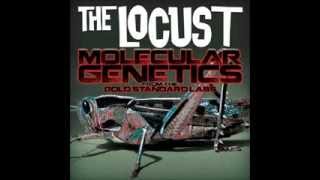 Siphoning Projectiles During Selective Amnesia [REMASTERED] (HQ) (with lyrics) - The Locust