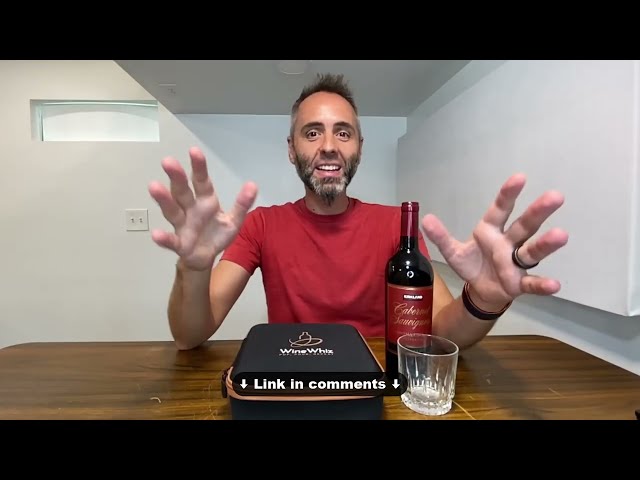 Best Wine Accessory Set to Enhance Your Wine Experience - close-up view