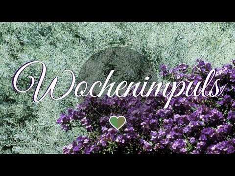 🌺 Wochenimpuls 11.2.- 7.2. 🌺 Liebe | Beruf ~ Berufung | Seelenbotschaft 🌺  Spirituelles Wochenorakel