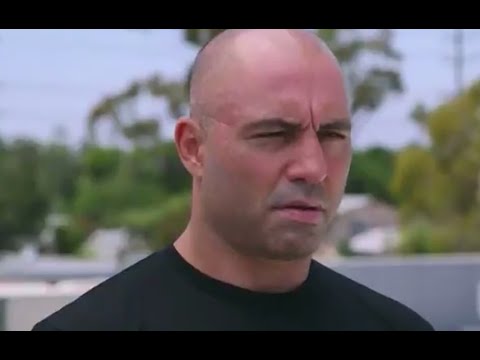 Joe Rogan Believes in Dragons