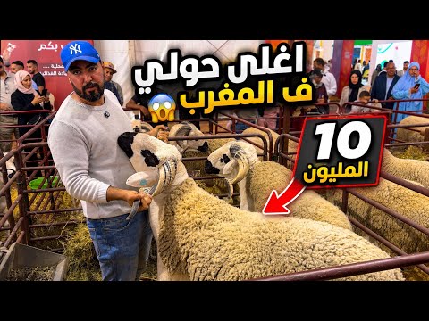 اغلى حولي ف المغرب 😱 10 الميون 😱… معرض الفلاحة 🇲🇦