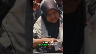 Download lagu Bajau People: Their Life, Food, & Ocean's Bounty #shorts mp3