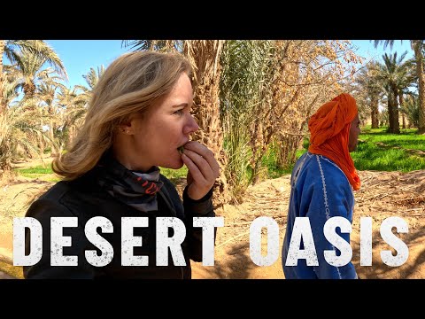 DESERT OASIS explained: this is how they do it. |S7 - E7|