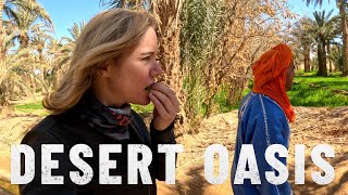DESERT OASIS explained: this is how they do it. |S7 - E7|