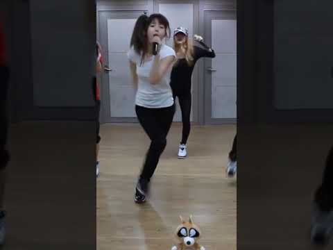 GLAM 글램 - 거울앞에서 :: 안무연습영상 Zinni FanCam