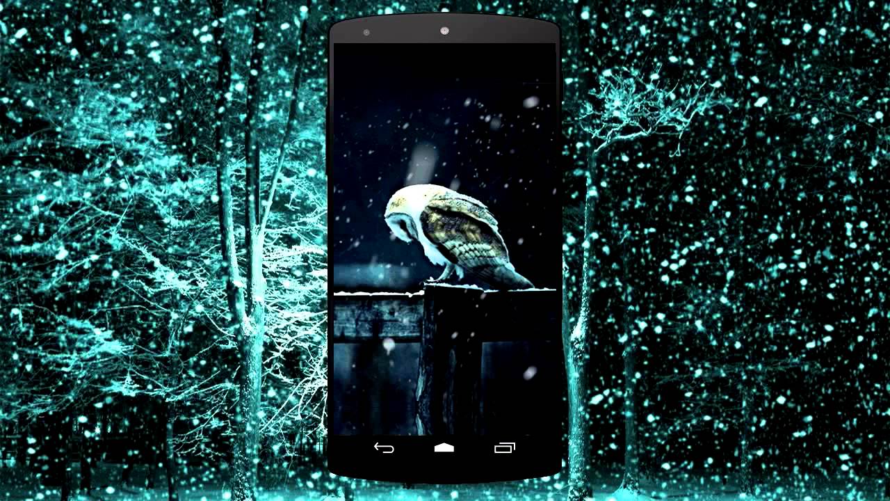 Night Owl Live Wallpaper