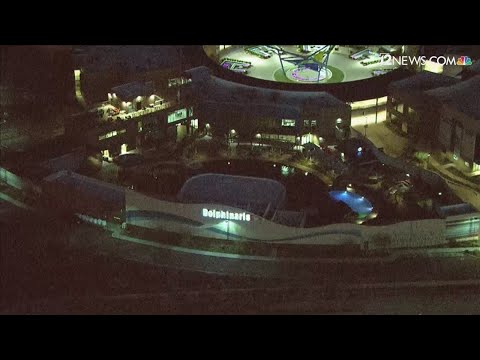 Dolphinaris Arizona to close temporarily after four dolphin deaths