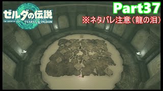 【37】ぼっち勇者の天空探検【ゼルダの伝説ティアーズオブザキングダム】