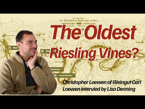 Exploring Mosel Terroir with Christopher Loewen of Carl Loewen Winery