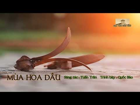 Mùa hoa dầu - Quốc Bảo