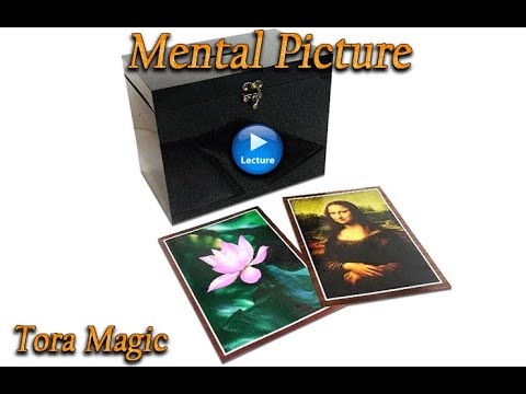 Voir la vidéo de Mental Picture -Tora Magic