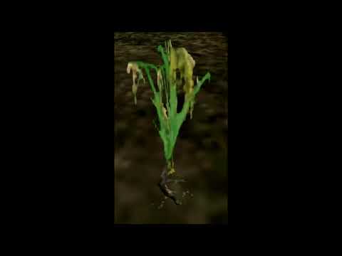 MY LUBIMY PALIĆ   GOTHIC RAP 1H