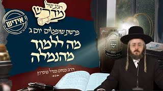 הרב מנחם מנדל פומרנץ | רגע של מדרש -אידיש- יום ג' פרשת שופטים • מה ללמוד מהנמלה •