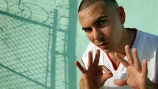 Pitbull ft. Tego Calderon - You Slip. She Grip