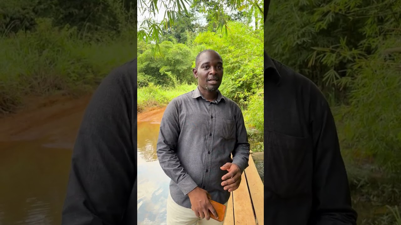 JOURNÉE MONDIALE DES ZONES HUMIDES #wetlands #Gabon