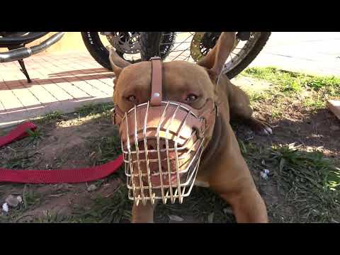 SICK DEMON -  Tres Dias de Vida ( prod: Bloque30records x Shotby: Blackbuster)