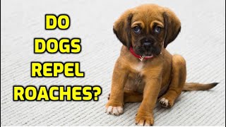 Do Dogs Repel Roaches?