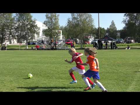 K Pallo   TU 28 8 2021