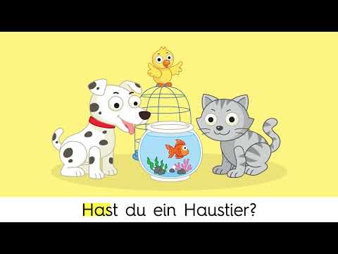 Fidibus 1 - Hast du ein Haustier | Lektion 7 (Lied)