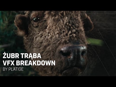 Żubr Trąba | VFX Breakdown | Platige