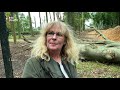 Landgoed Broekhuizen weer open na valwind: 'Het ziet er een beetje spooky uit' [RTV Utrecht]