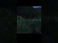 Fireflies How Long Has It Been Since You Ve Seen A Firefly