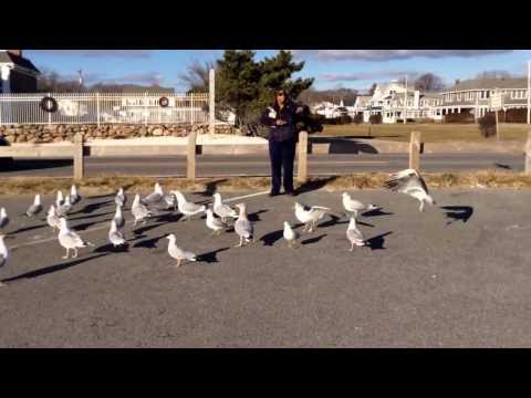 Falmouth Massachusetts USA Beach Winter 2013