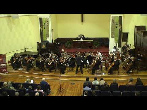 ASQ IMA 2019 String Orchestra Jenkins Palladio 1st Movement