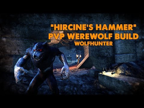 ESO - Hircine's Hammer PVP Werewolf Build - (Wolfhunter)