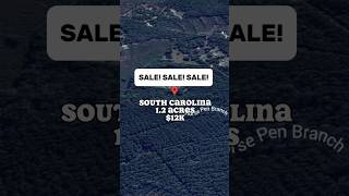 1.2 acres in South Carolina for $12K #foryou #realestate #land #property #sale #cheap #shortvideo