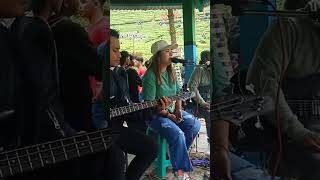 Download lagu ikan dalam kolam #shorts mp3 Download lagu ikan dalam kolam #shorts mp3