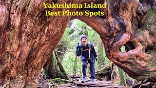Yakushima (屋久島) Best Photo Spots