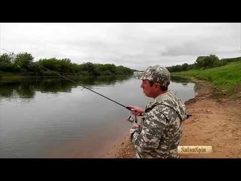 Обзор комплекта  Maximus Black Widow 24ML и  Daiwa Revros MX 2500