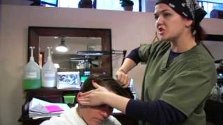 Hair Fairies - the Head Lice Helpers